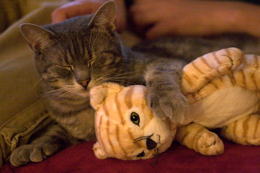 Dexter Misses Watson Dexter Misses Watson