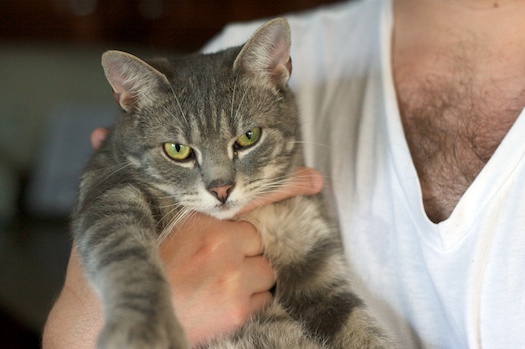Dude! It's Dexter! Dude! It's Dexter!