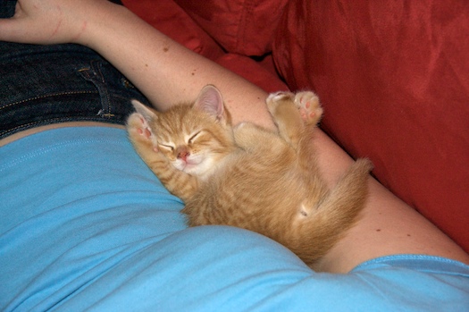Watson Passed Out Watson Passed Out