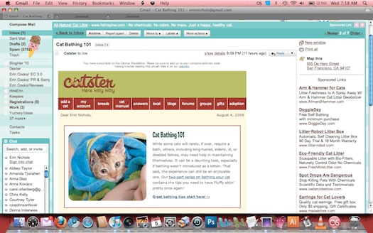 Watson Infiltrates Catster Watson Infiltrates Catster