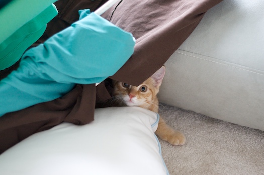 It Wasn't Me!
