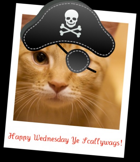 Watson Wednesday: Ahoy Mateys! Watson Wednesday: Ahoy Mateys!