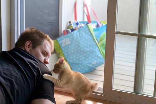 It's OK Buddy. It's OK Buddy.