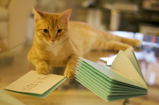 Watson and the Holiday Cards Watson and the Holiday Cards